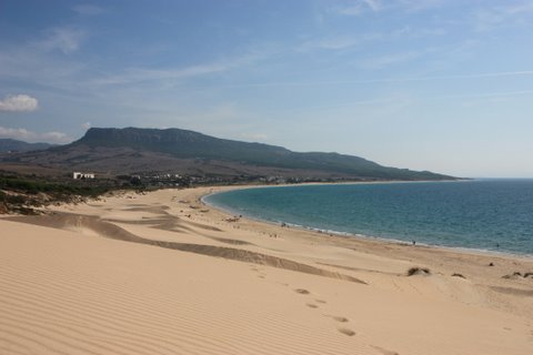 bolonia_66 bolonia_66