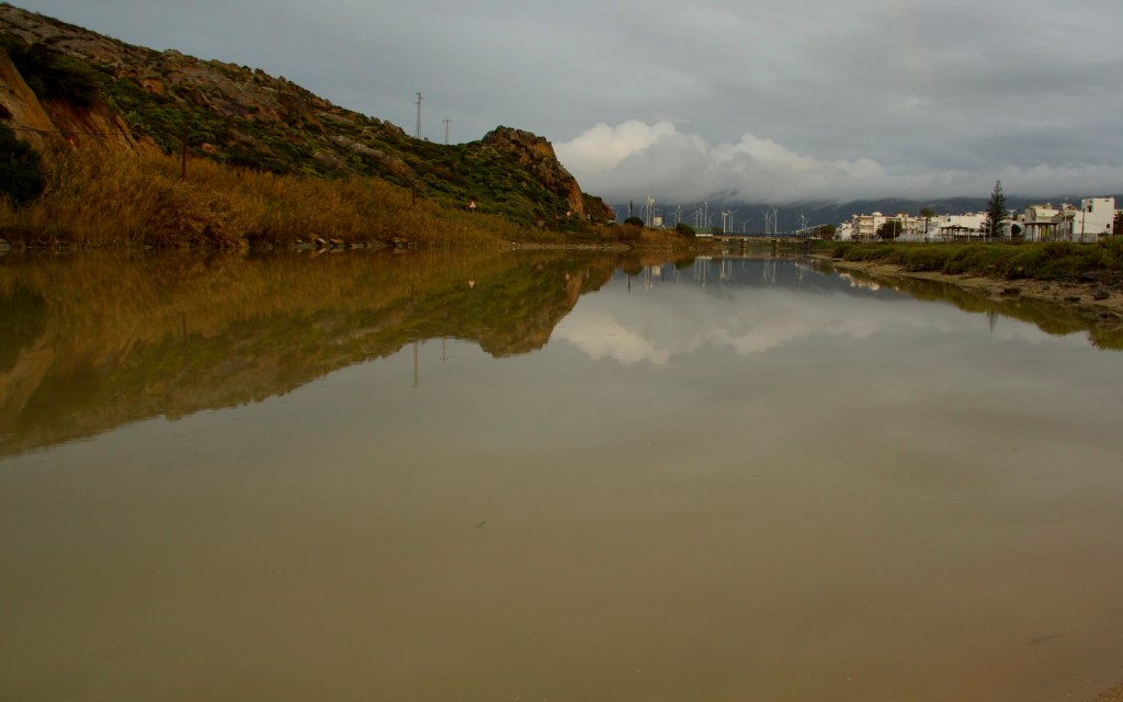 reto_reflejos