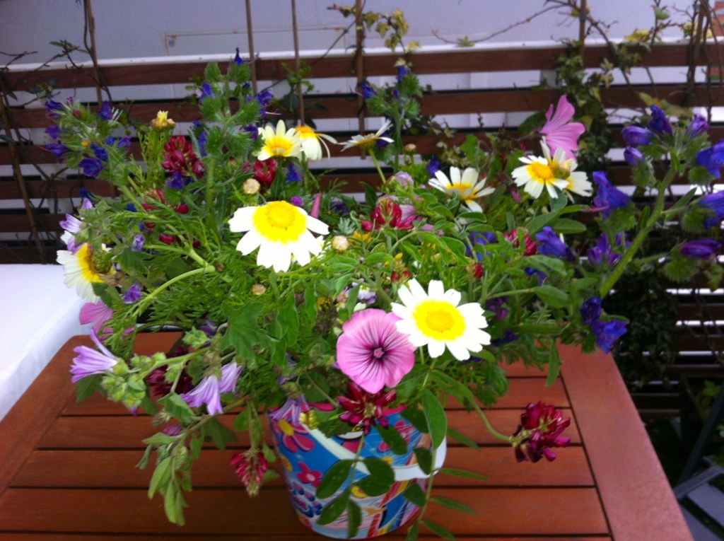 primavera01