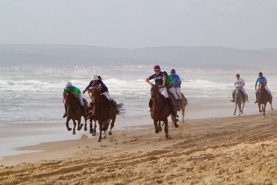 caballos