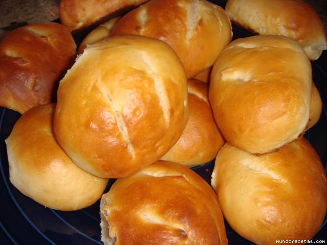 bollodeleche