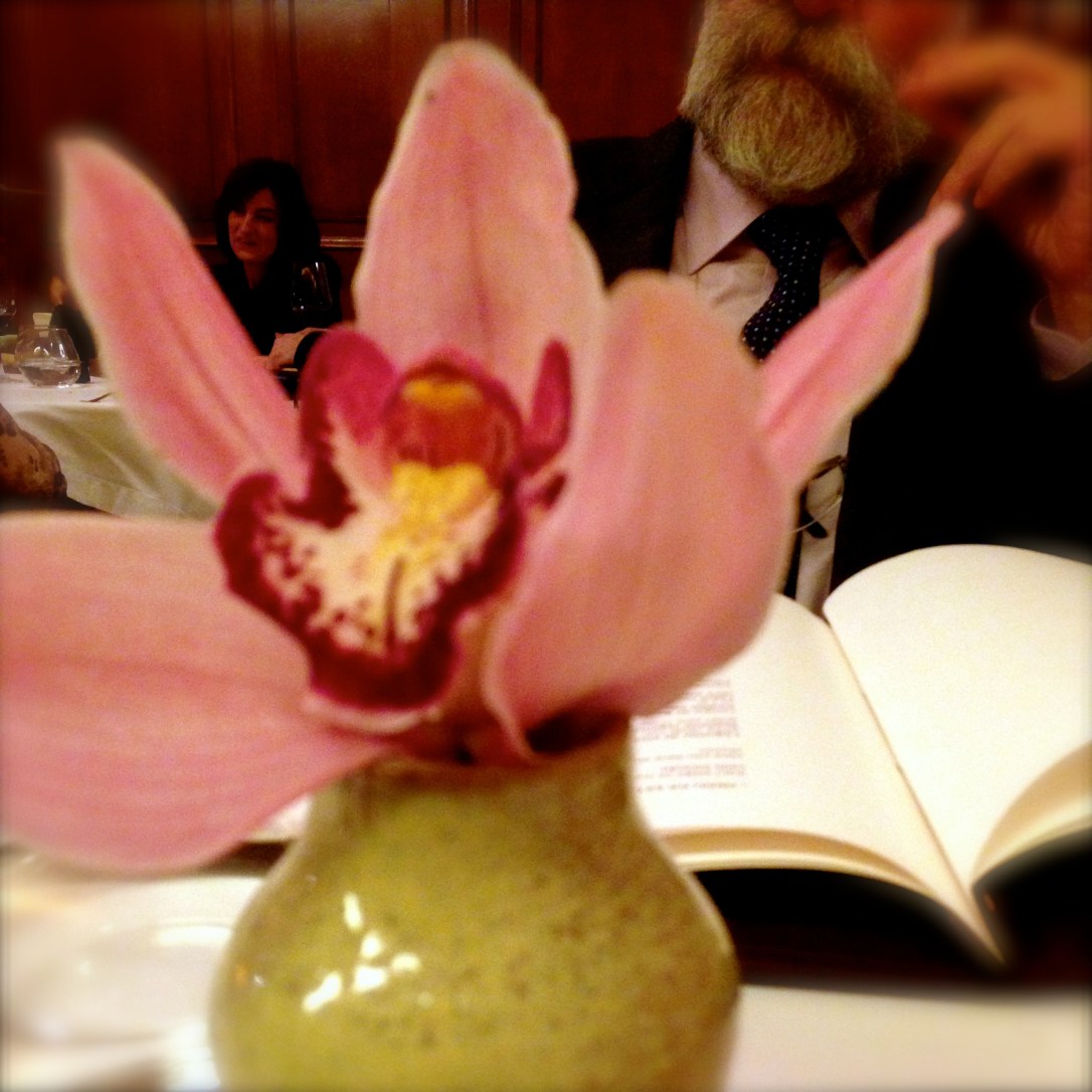ORQUIDEA