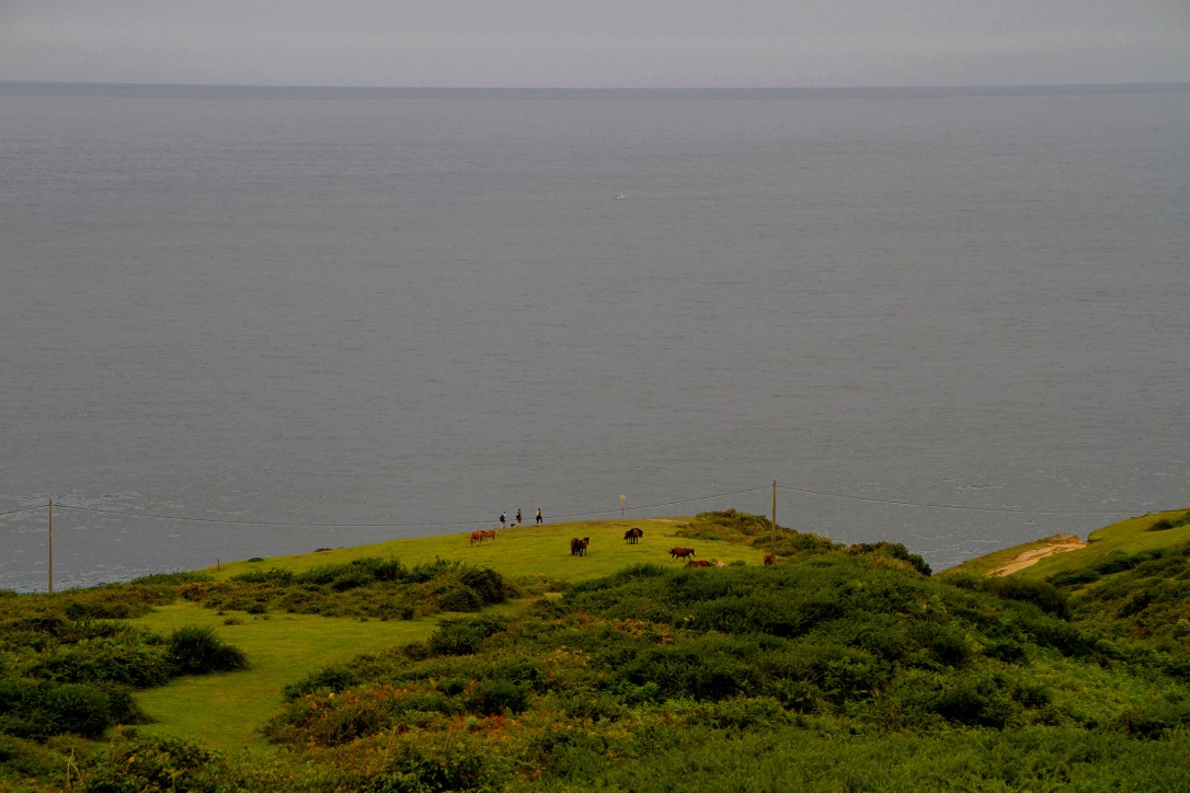paisaje