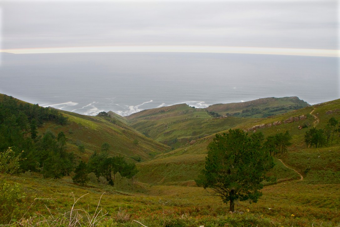 paisaje1