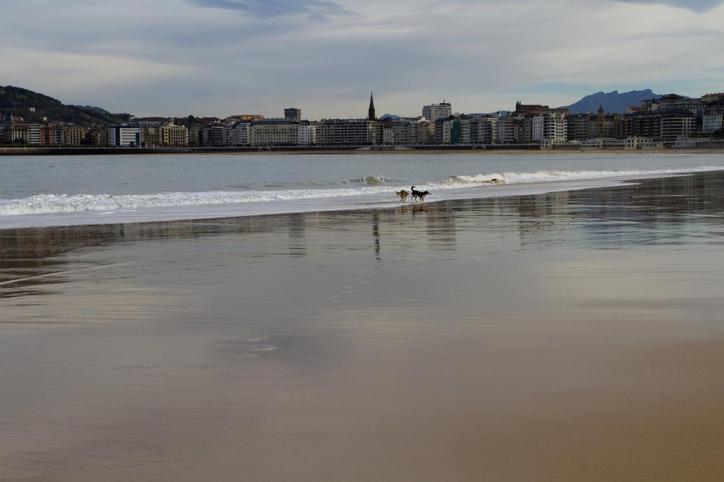 face-donosti11