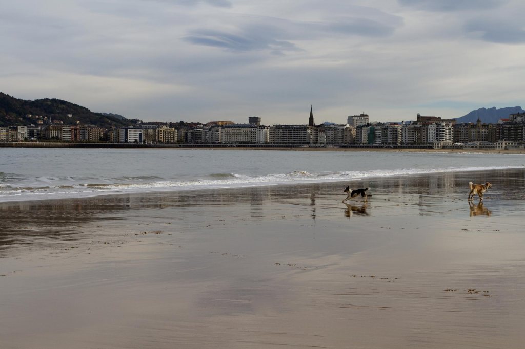 face-donosti9