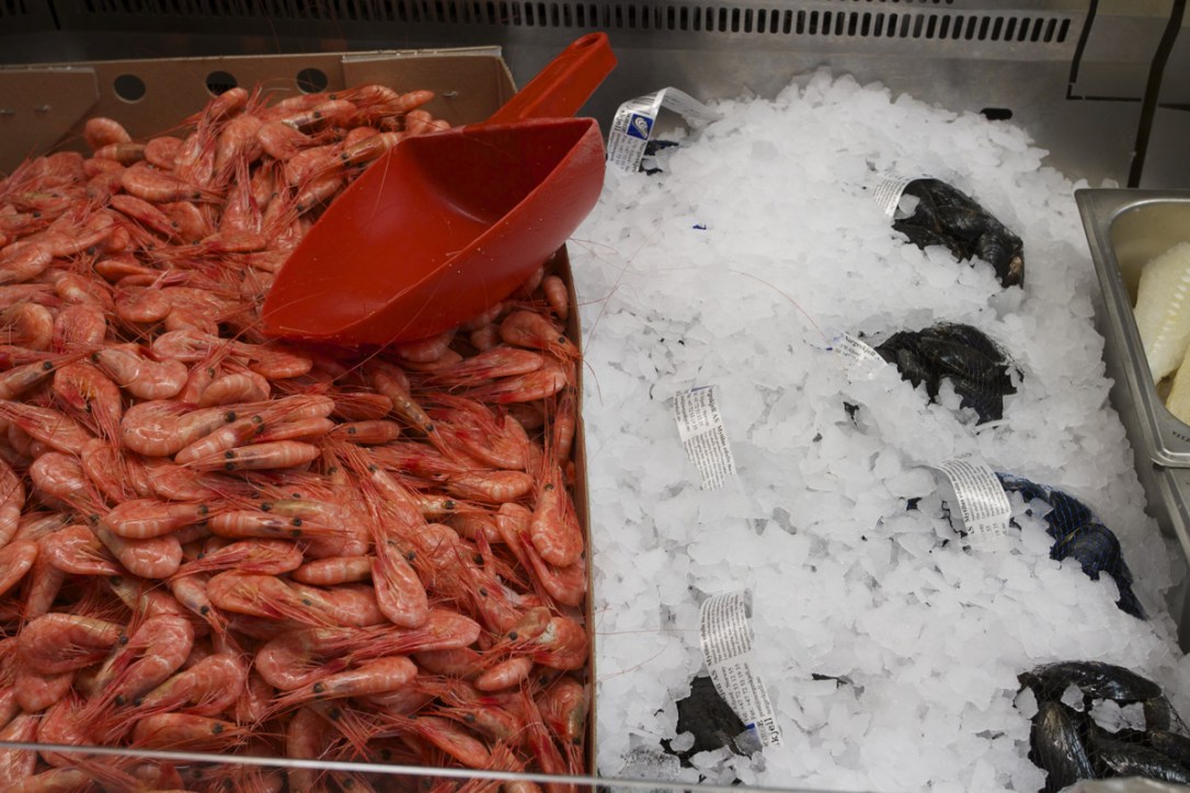 pescaderia06