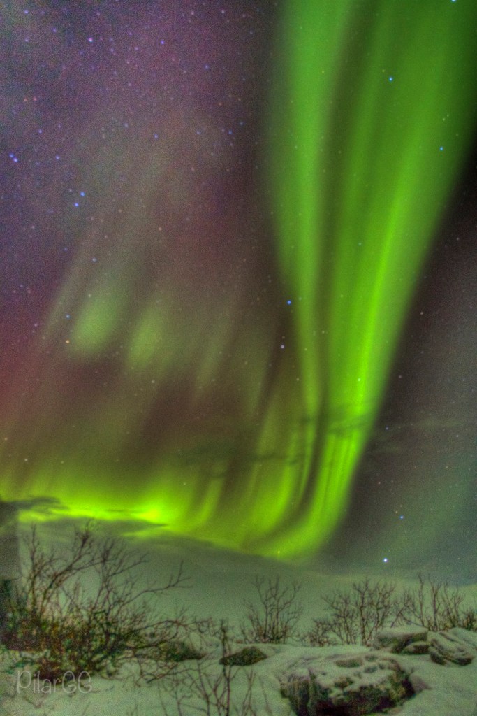 Pilar_aurora14_bis