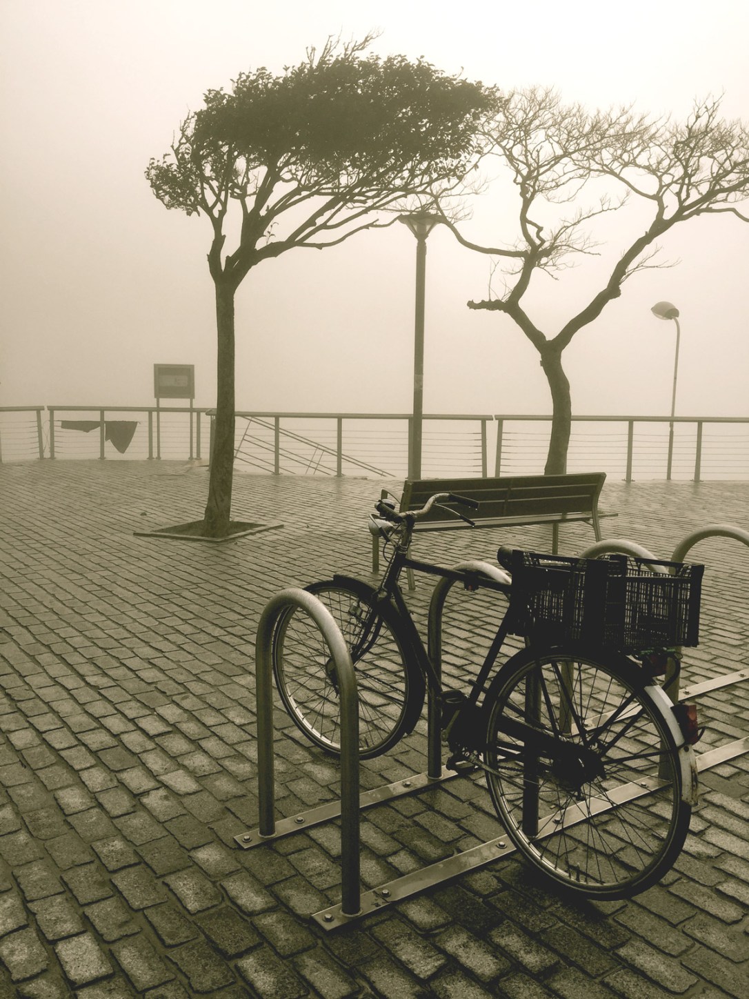 niebla01