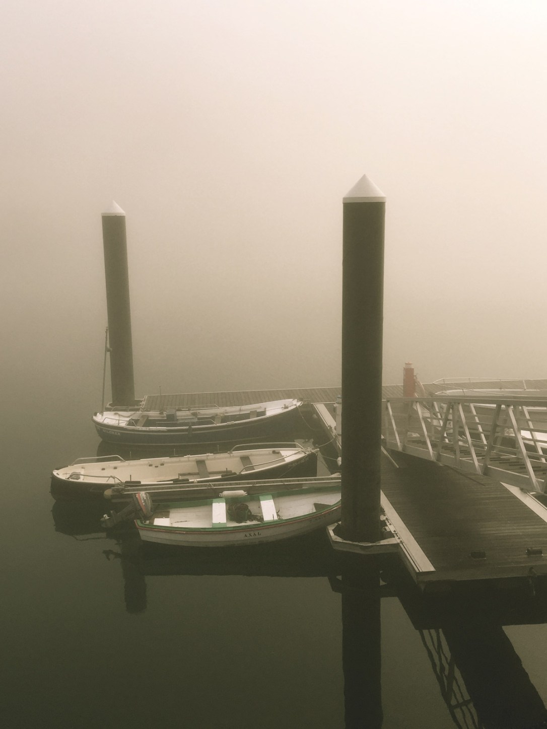 niebla02