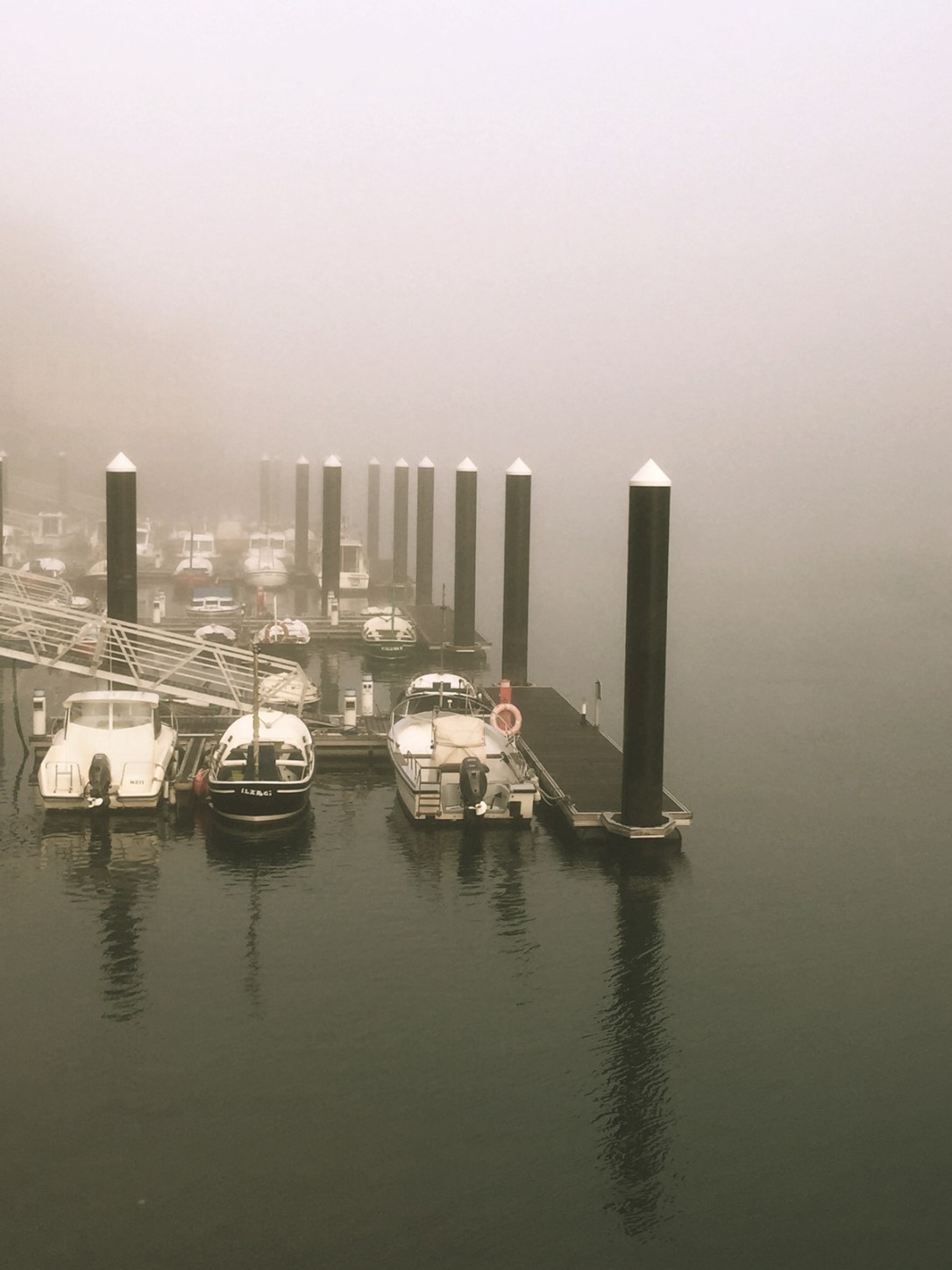 niebla03