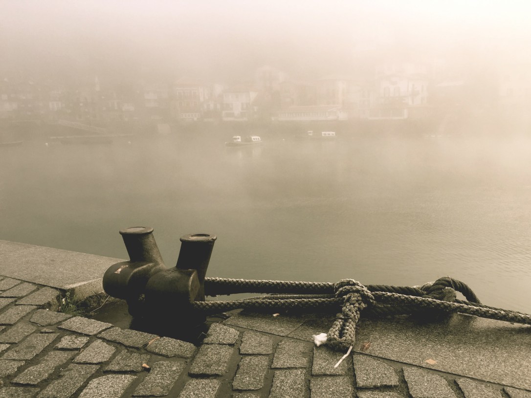niebla05