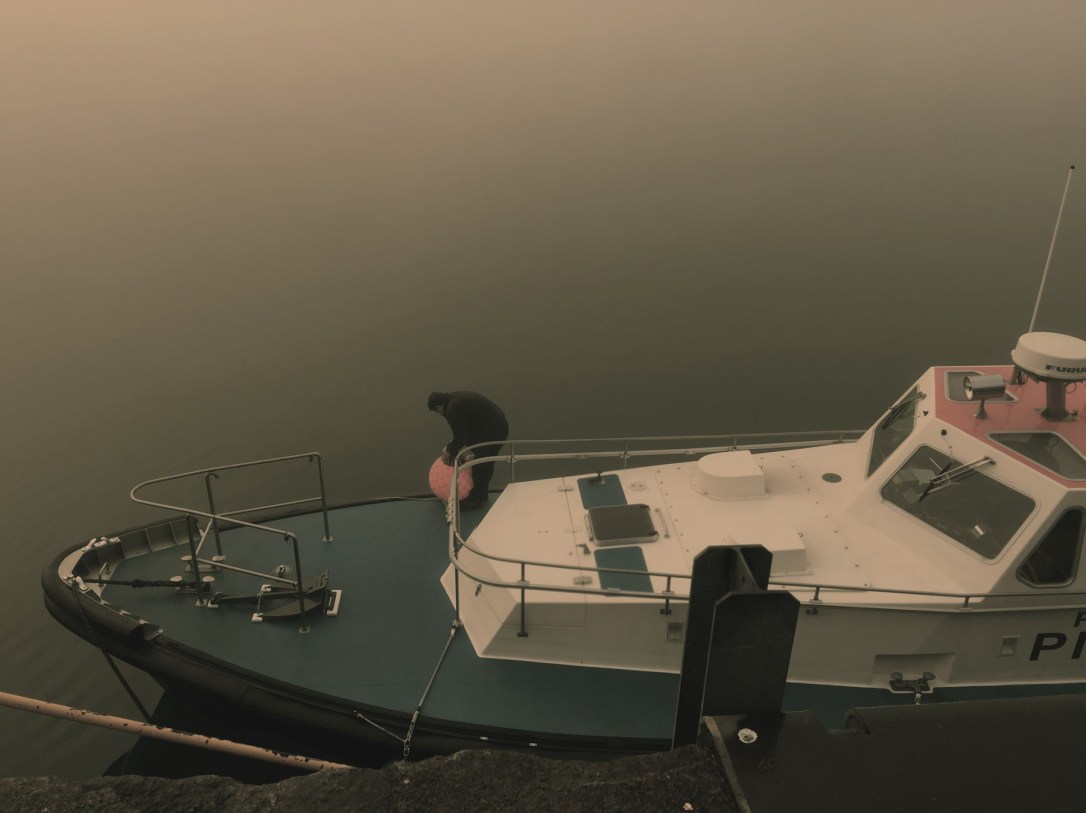 niebla09